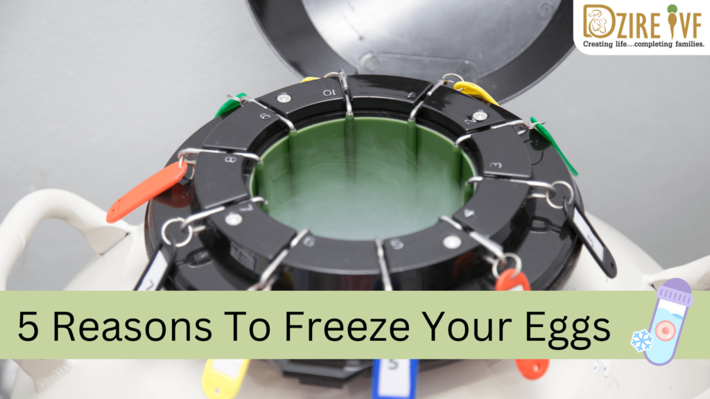Egg Freezing