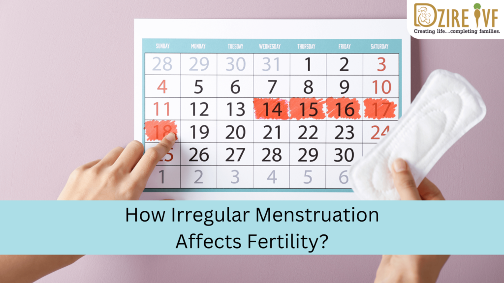 Menstruation Affects Fertility