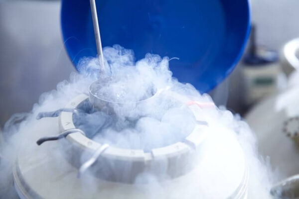 Frozen Embryo Transfer